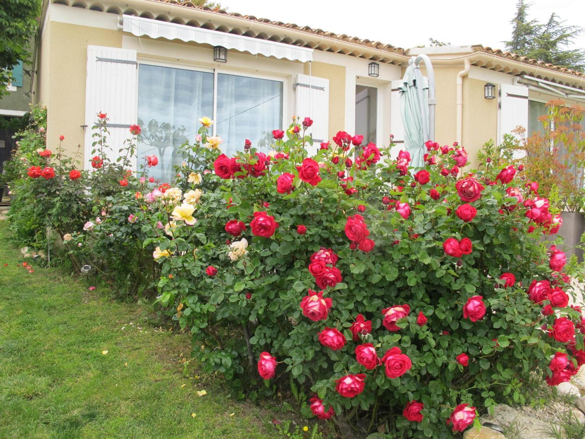 Lou Cardalines Bed & Breakfast Bedoin Exterior photo